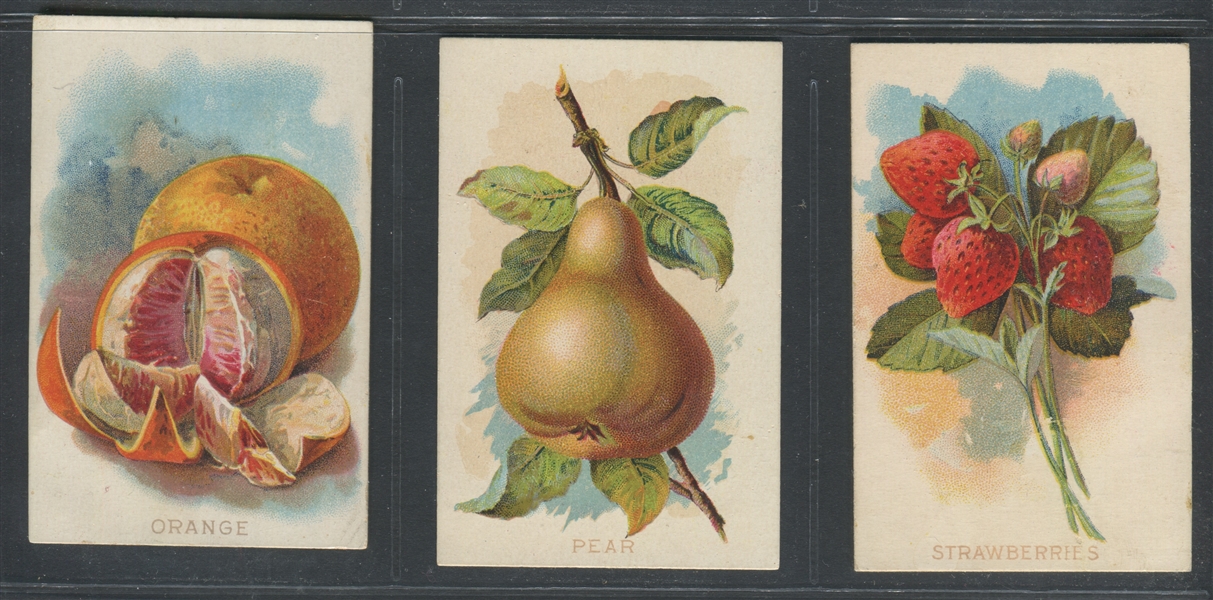 N569 E. T. Pilkington Fruits Lot of (3) Cards