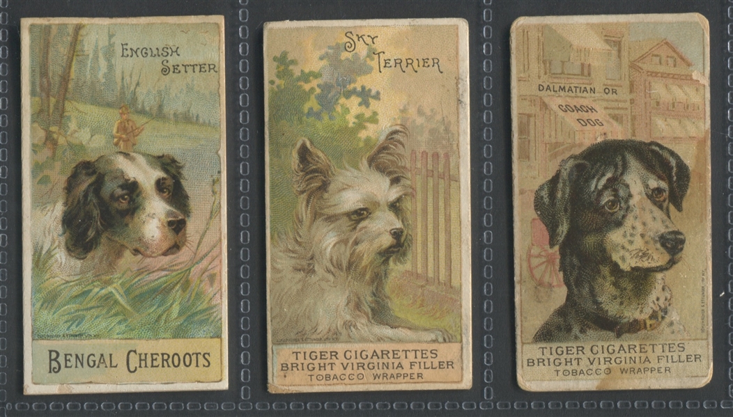 N375 H. Ellis Breeds of Dogs Lot of (3) Cards 