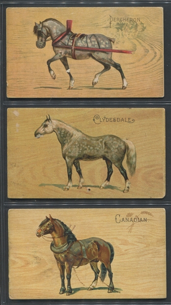 N101 Duke Honest Long Cut Breeds of Horses Lot of (3) Cards