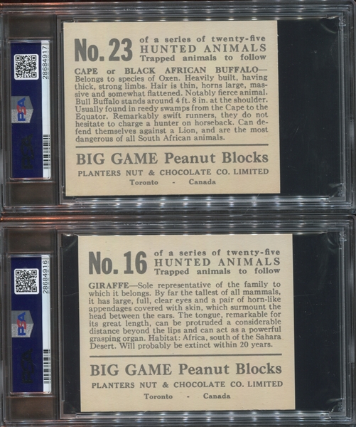 V131 Planter's Canada Hunted Animals Lot of (3) PSA-Graded Cards