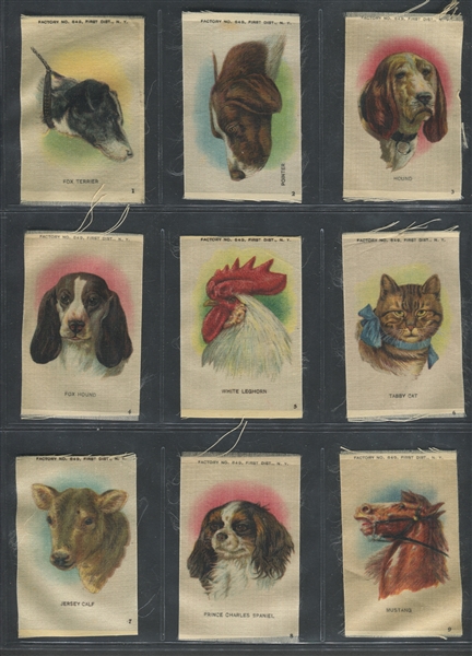 S2 Domestic Animals (Small) Complete set of (25) Cards