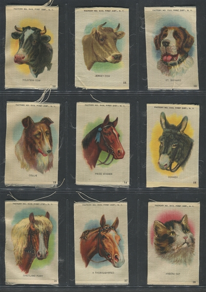 S2 Domestic Animals (Small) Complete set of (25) Cards