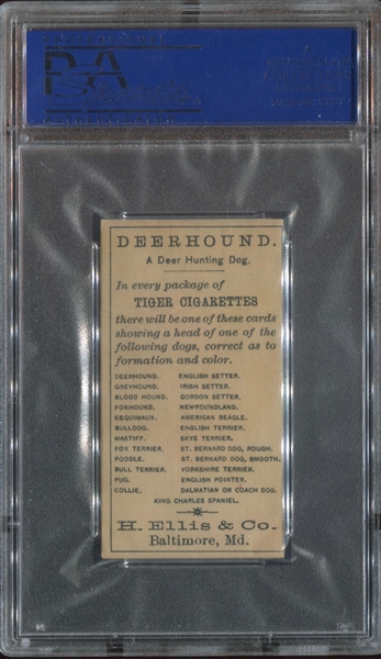 N375 H. Ellis Breeds of Dogs Deerhound PSA2 Good