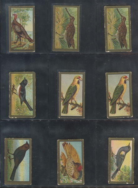 T42/T43 Birds Mixed Lot of (79) Cards