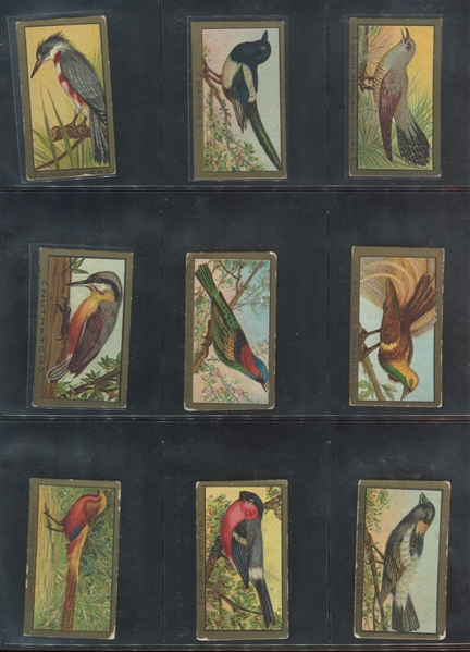 T42/T43 Birds Mixed Lot of (79) Cards
