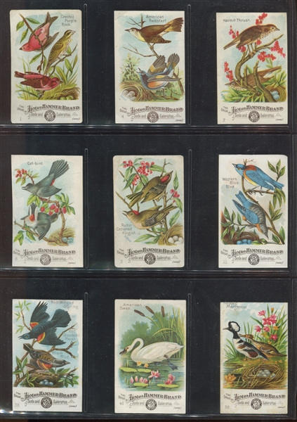 J1 Church & Dwight Soda Useful Birds of America Lot of (60) Cards