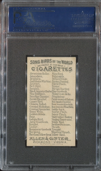 N23 Allen & Ginter Song Birds - Bengali - PSA6 EX-MT