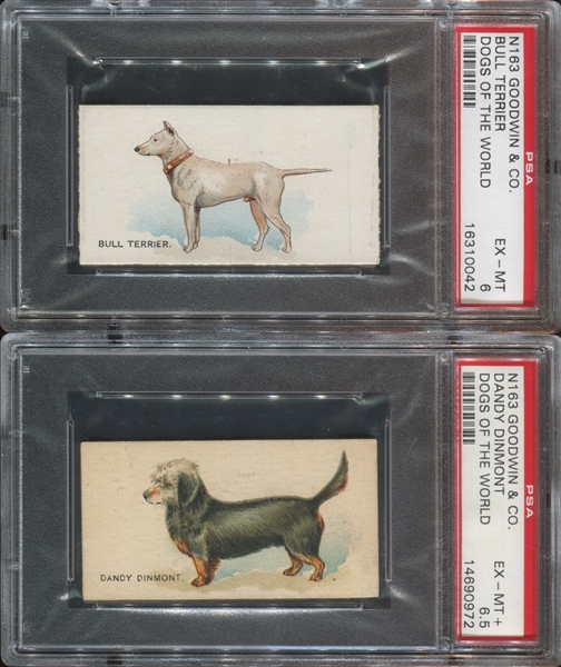 N163 Goodwin Old Judge Dogs Pair of PSA6 EX-MT Graded Cards