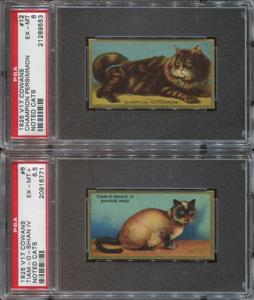 V17 Cowan's Chocolates Noted Cats Lot of (2) PSA-Graded Cards