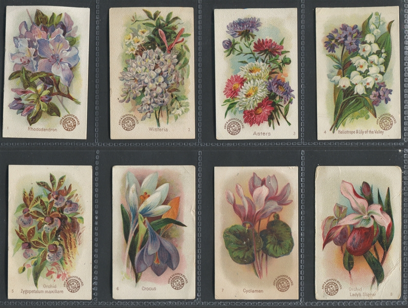 J16 Church & Dwight Beautiful Flowers Complete Set of (60) Cards