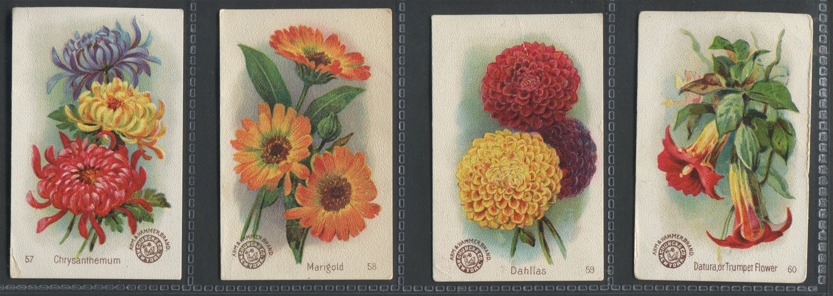 J16 Church & Dwight Beautiful Flowers Complete Set of (60) Cards