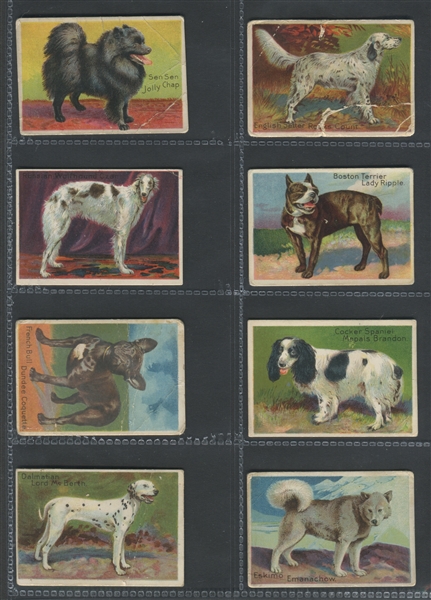 T96 Prize Dog Series Near Set (8/10) Cards Mixed Backs
