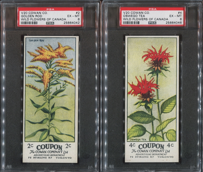 V20 Cowan's Chocolate Wild Flowers Lot of (4) PSA6 EX-MT Graded Cards