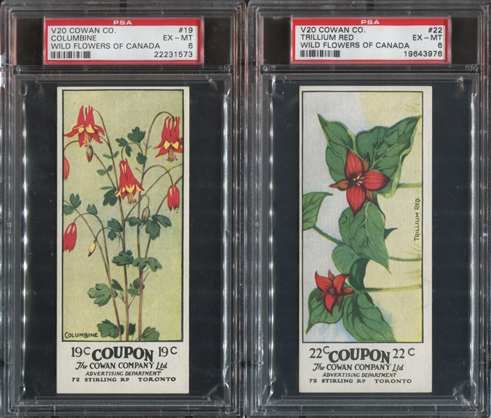 V20 Cowan's Chocolate Wild Flowers Lot of (4) PSA6 EX-MT Graded Cards