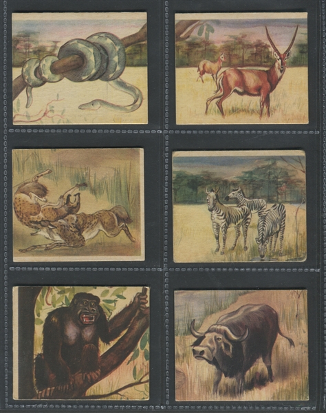 R6 National Licorice African Animal Jig Lot of (9) Cards