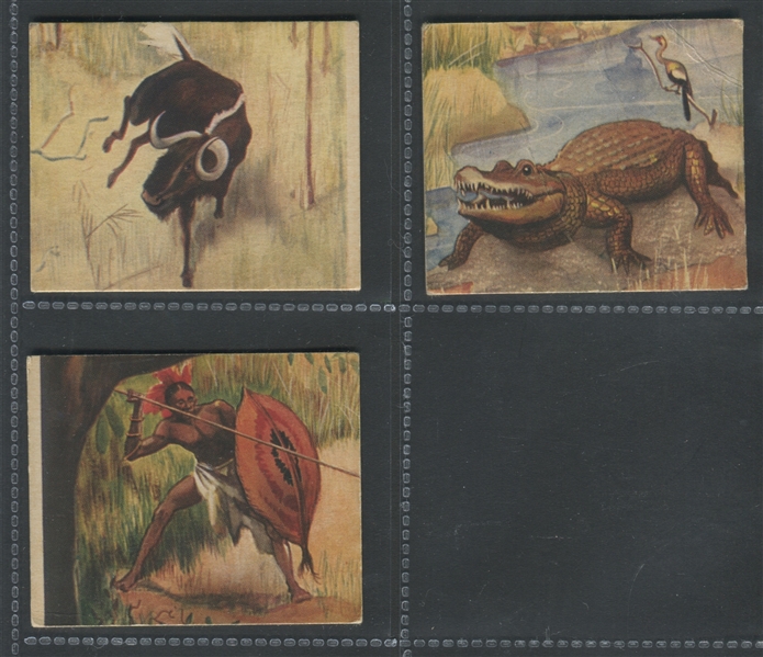R6 National Licorice African Animal Jig Lot of (9) Cards
