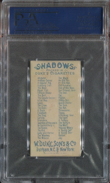 N87 Duke Cigarettes Shadows - A Young Calf - PSA5 EX