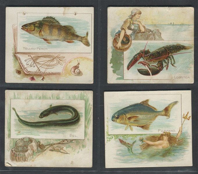 N39 Allen & Ginter Fish From American Waters Lot of (11) Cards