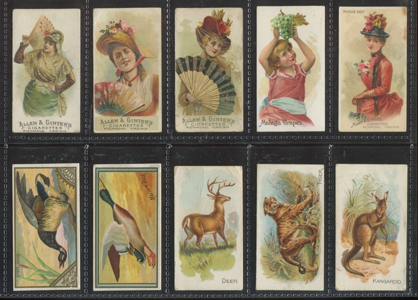 Mixed Allen & Ginter Lot of (22) Cards