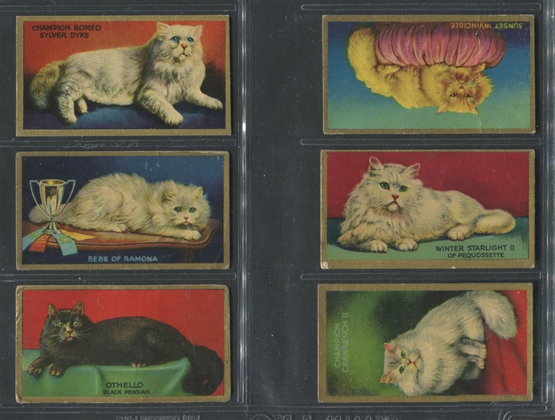 V17 Cowan's Chocolates Noted Cats Lot of (6) Cards