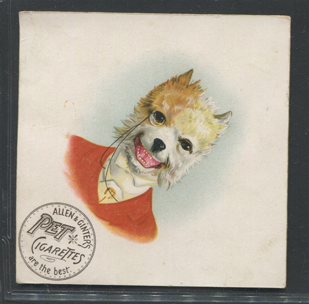 Allen & Ginter Pet Cigarettes Anthropomorphic Trade Cards Lot of (2)