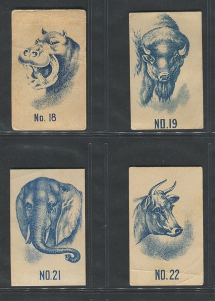 N385 Spaulding & Merrick Animals BLUE Lot of (13) Cards