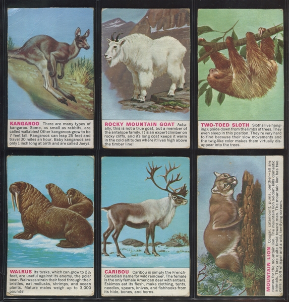 F-UNC Cereal Issue Animals Box-Back Cut-Out Cards Complete Set of (18) Cards