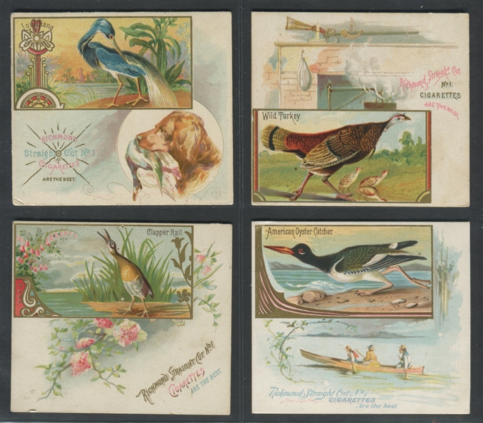 N40 Allen & Ginter Game Birds (Large Format) Lot of (8) Cards