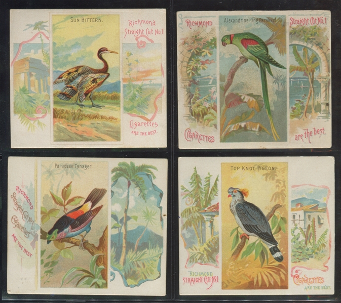 N38 Allen & Ginter Birds of the Tropics Lot of (10) Cards