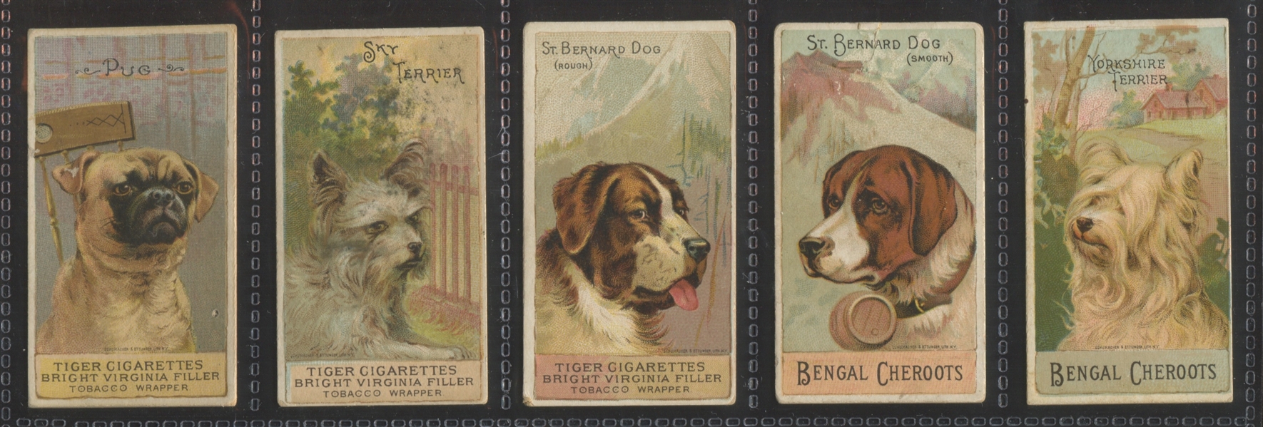 N375 H. Ellis Breeds of Dogs Complete Set of (25) Cards