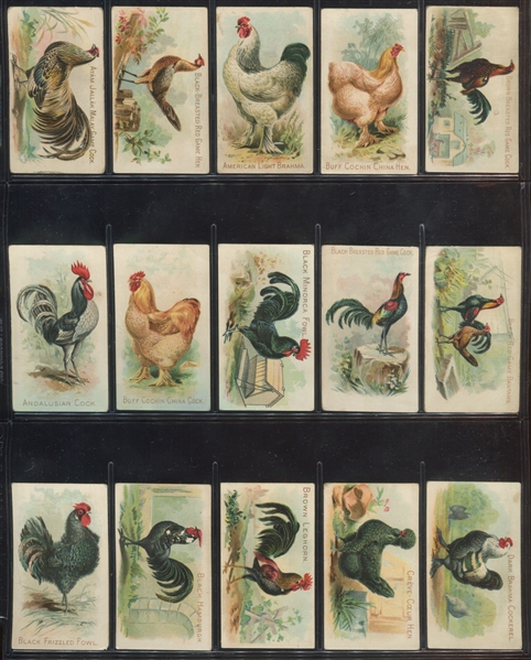 E31 Philadelphia Confections Zoo Cards (Chickens) Complete Set of (50) Cards