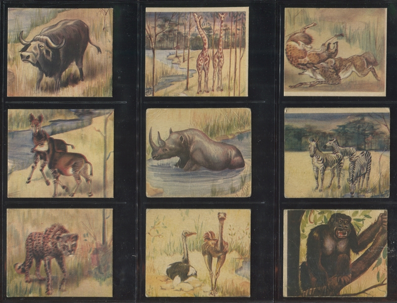 R6 National Licorice African Animal Jig Near Complete Set (23/24) Cards