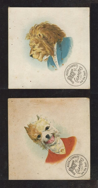 Interesting Allen & Ginter Pet Cigarettes Anthropomorphic Trade Card Pair