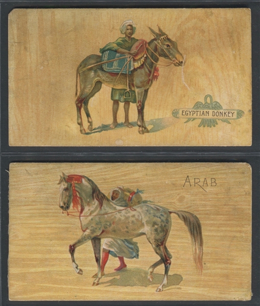 N101 Duke Tobacco Breeds of Horses Lot of (2) Cards