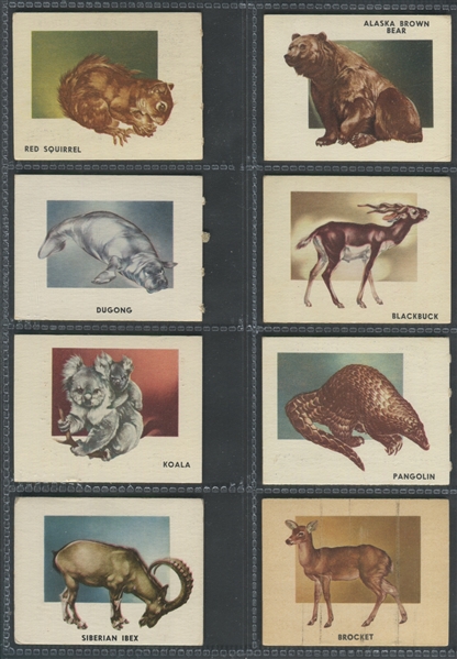 1950 Topps Bring 'Em Back Alive / Topps Animals Complete Sets (1-200) 
