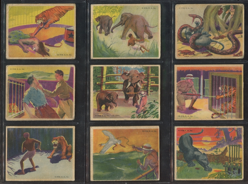 R55 Gumakers of America Frank Buck Complete Set of (48) Cards