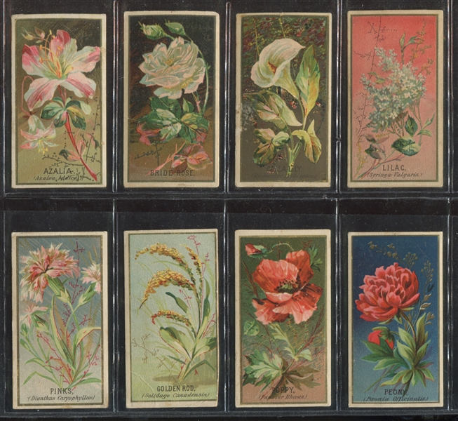 N164 Goodwin Flowers Lot of (8) Cards
