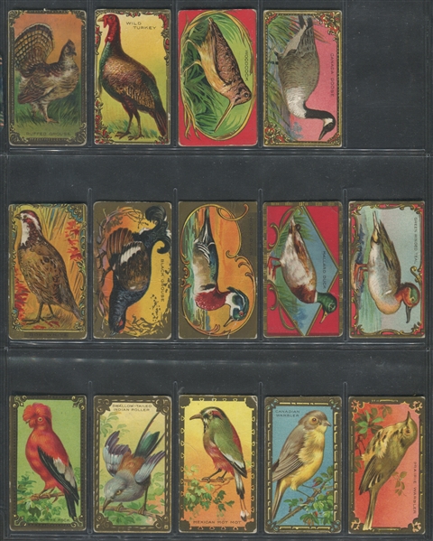 C45 Imperial Tobacco (Canada) Bird Series Near Complete Set (29/30) Cards