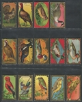 C45 Imperial Tobacco (Canada) Bird Series Near Complete Set (29/30) Cards