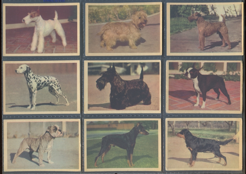 FC29 Ballard's Pet Foods Dog Series Near Complete Set (41/42) Cards