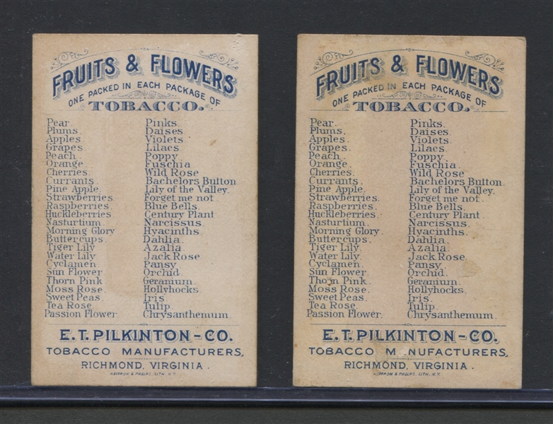 N569 E. T. Pilkington Fruits and Flowers Pair of Cards