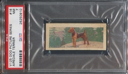 V125 Robertson Dog Pictures #16 Airedale PSA7 NM