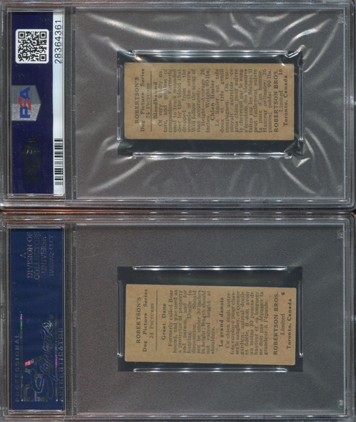 V125 Robertson Dog Pictures Pair of PSA-Graded Cards