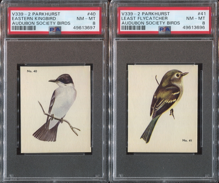 V339-2 Parkhurst Audubon Birds Lot of (4) PSA-Graded Cards with 7's and 8's