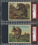 V131 Planters Hunted Animals Lot of (4) PSA5-Graded Cards