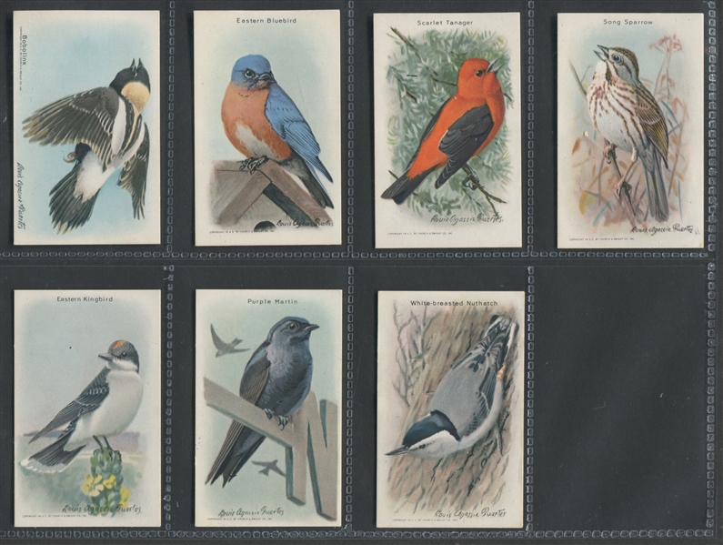 J9-5 Church & Dwight Useful Birds of America Series 9 Complete Set of (15)