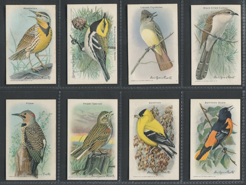 J9-6 Church & Dwight Useful Birds of America Series 10 Complete Set of (15)