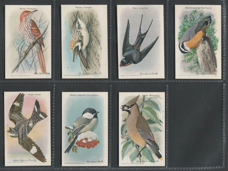 J9-6 Church & Dwight Useful Birds of America Series 10 Complete Set of (15)