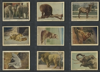 V67 Neilsons Wild Animals Lot of (32) Cards