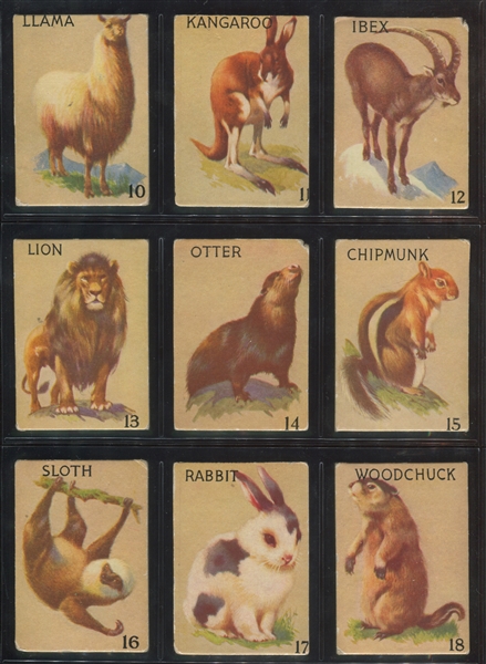 R15-2 Schranz & Bieber Animals Complete Set of (54) Cards